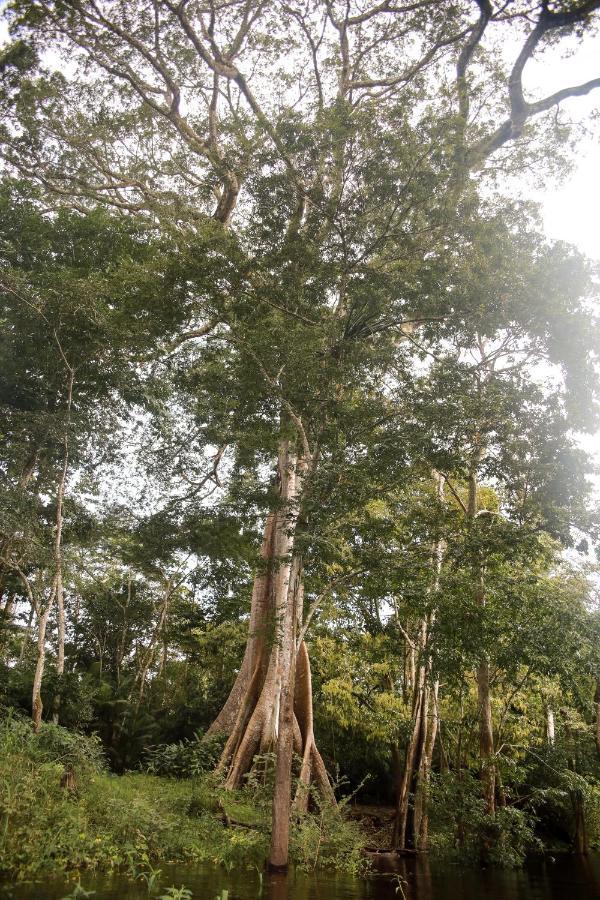 Amazonia Jungle Hotel Iranduba Exterior photo